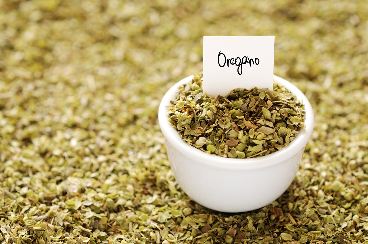 Oregano – właściwości zdrowotne i zastosowanie