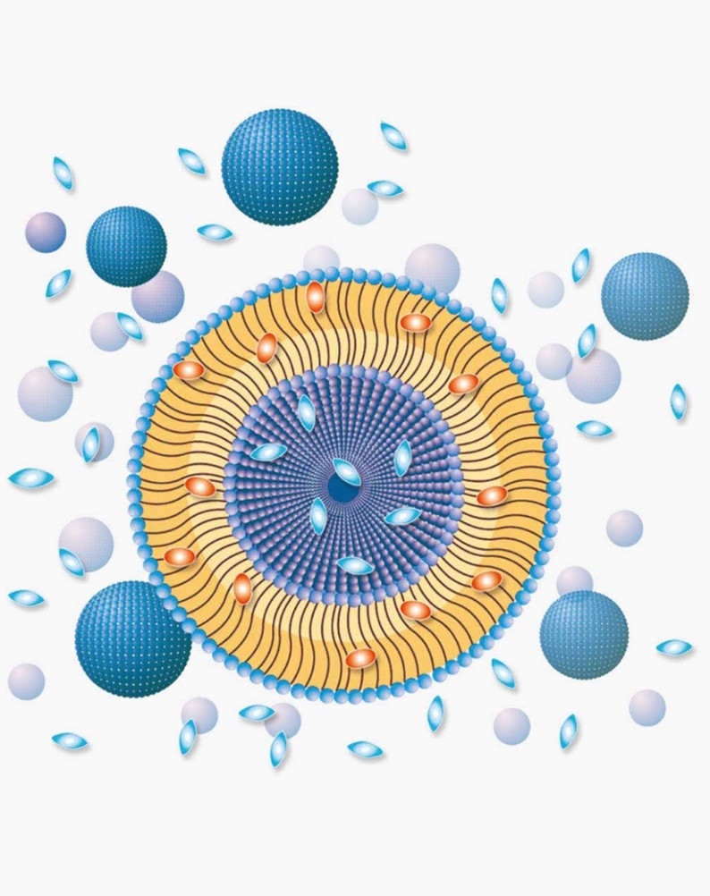 Nanotechnologia, czyli jak dostarczyć składniki aktywne w głąb skóry
